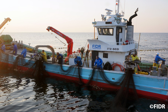 FIDR{kЕx_YƕEٗpnô߂̎x