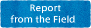 Report from the Fields